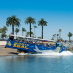 Seal Tours